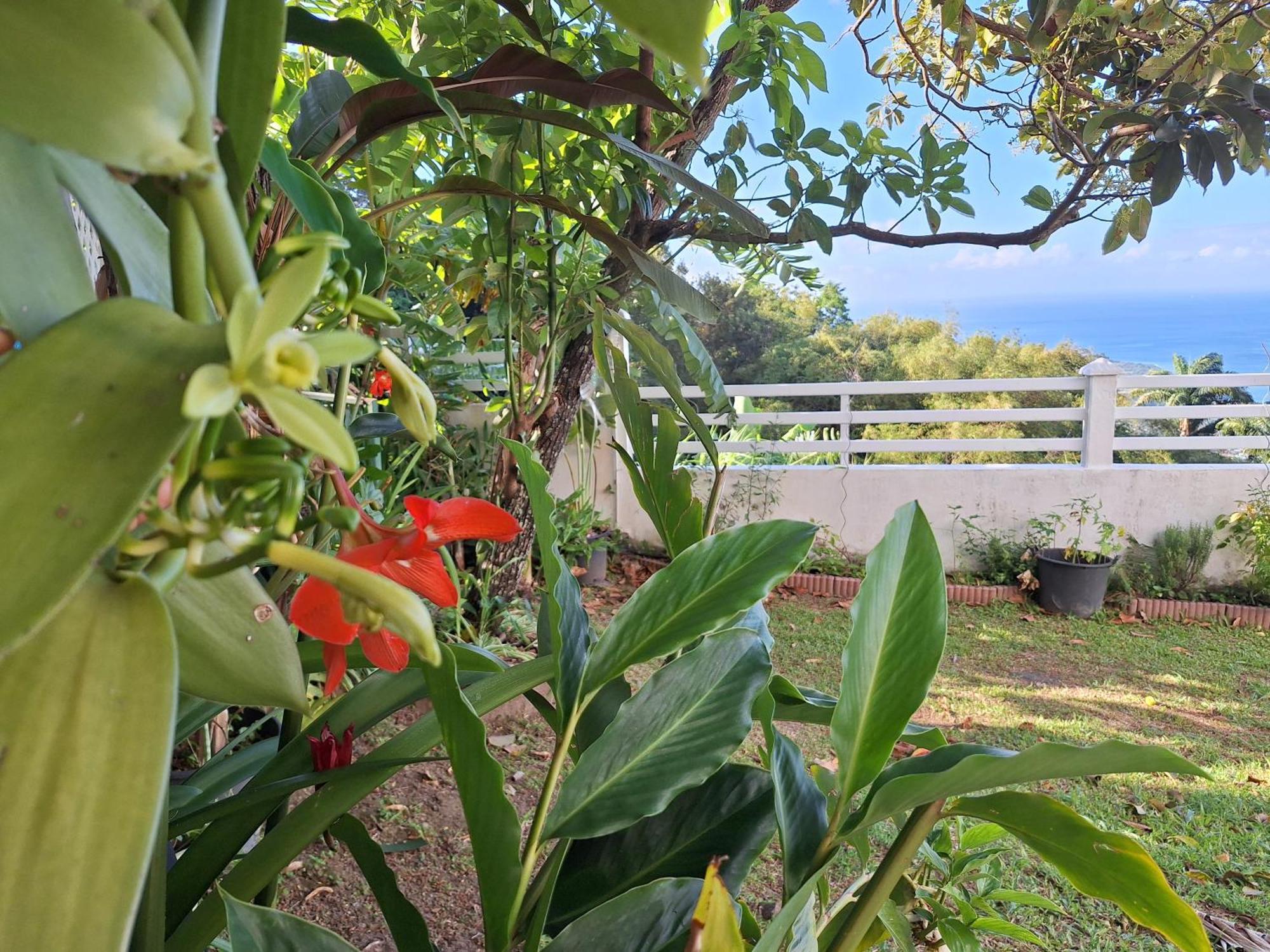 Belavue & Spa Prive, Avec Vue Panoramique Sur Mer, Jardin Creole Paysager, Jacuzzi Prive บูญองต์ ห้อง รูปภาพ